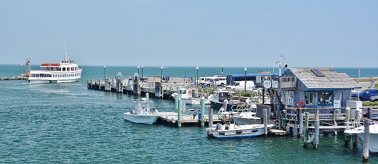 oak bluffs harbor